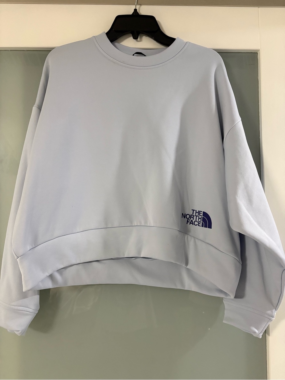 The North Face Women's Pale Blue Cropped Crewneck Sweatshirt